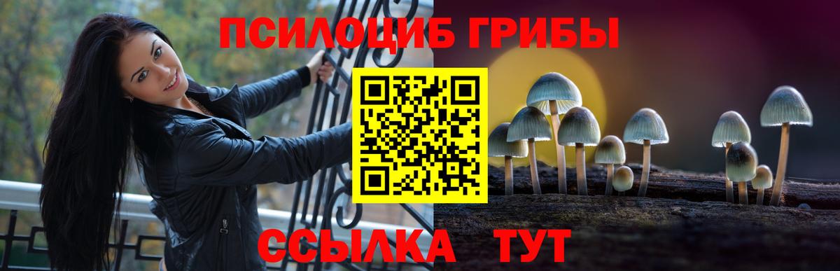 Псилоцибиновые грибы GOLDEN TEACHER Баксан