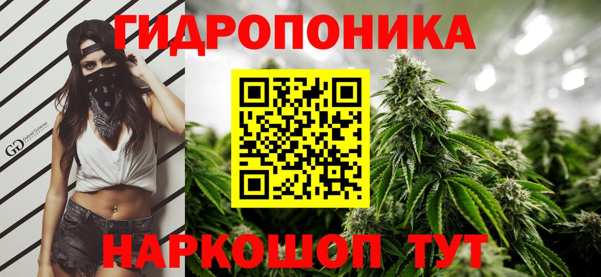 Канабис AK-47  Шишки марихуана индика  Каннабис AK-47  Баксан  Вход с VPN 
